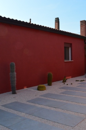 Design per giardino ispirato a Frida Kahlo