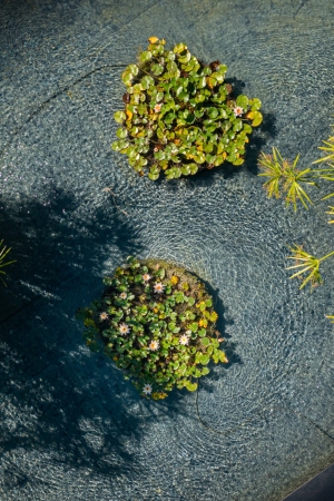 garden-conduction6
