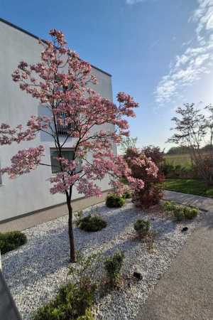 giardino-L6