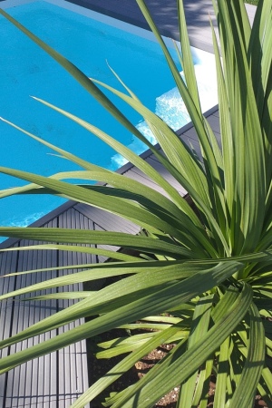 Progetto giardino con piscina