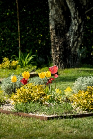 Giardino con fiori stagionali