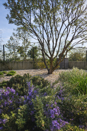 giardino L1